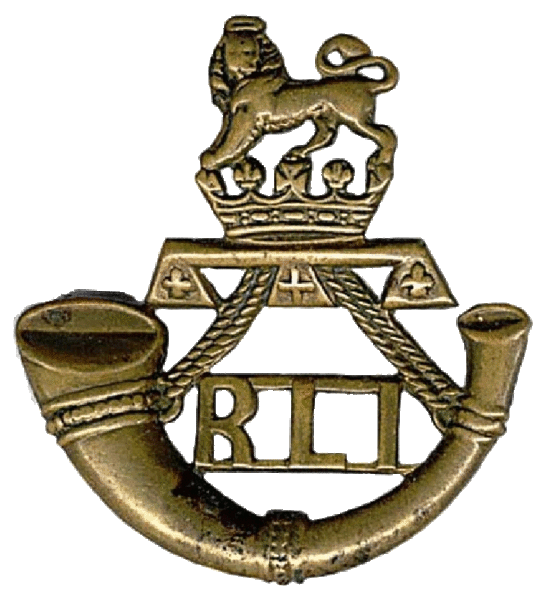 File:Rand Light Infantry, South African Army2.gif