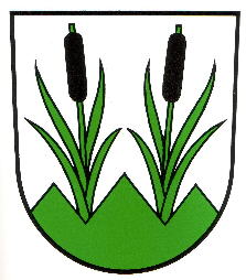 Wappen von Eggersriet / Arms of Eggersriet