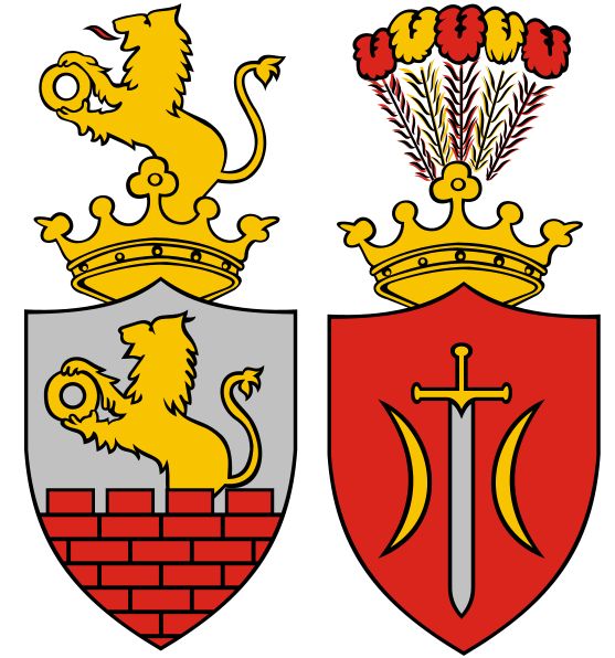 Arms of Zduńska Wola