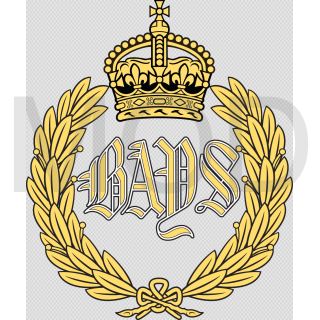 File:The Queen's Bays (2nd Dragoon Guards), British Army.jpg