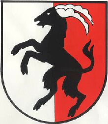Wappen von Mayrhofen/Arms (crest) of Mayrhofen