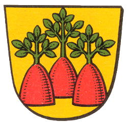 Wappen von Heinzenberg (Grävenwiesbach)/Arms (crest) of Heinzenberg (Grävenwiesbach)