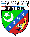 Arms of Saïda (Algeria)