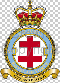 File:No 41 Squadron, Royal Air Force.jpg