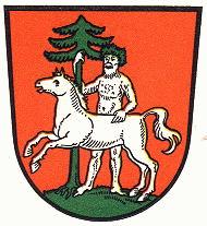 Wappen von Wildemann / Arms of Wildemann