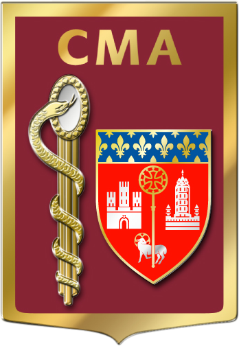 Coat of arms (crest) of the Armed Forces Military Medical Centre Tolouse-Castres, France