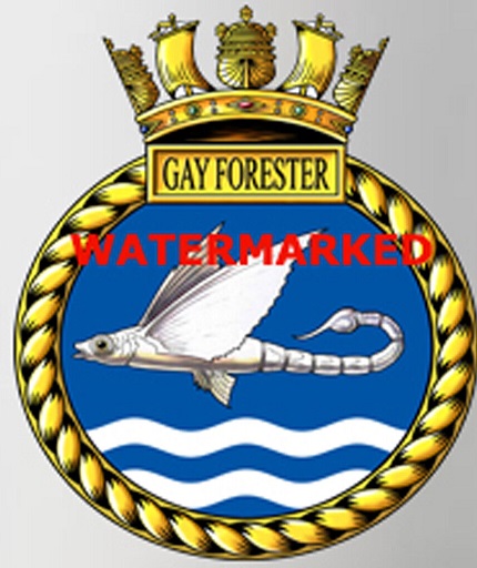 File:HMS Gay Forester, Royal Navy.jpg