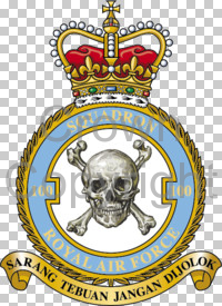 Coat of arms (crest) of the No 100 Squadron, Royal Air Force