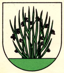 Arms (crest) of Binzen (Einsiedeln)