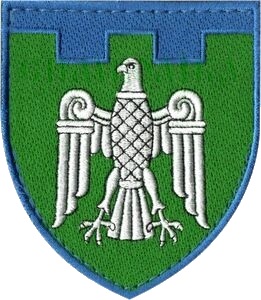 Coat of arms (crest) of 107th Independent Territorial Defence Brigade, Ukraine