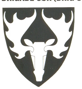 Coat of arms (crest) of the Brigade South, Norwegian Army