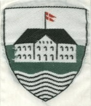 Marselisborg Division, YMCA Scouts Denmark.jpg