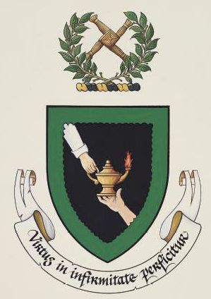 Coat of arms (crest) of Nursing Board