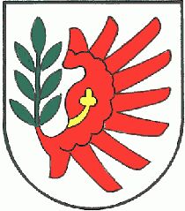 Wappen von Jungholz / Arms of Jungholz