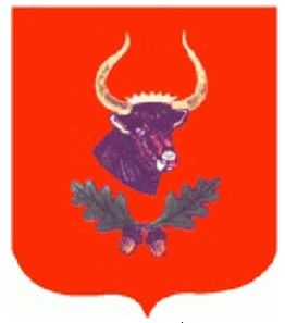 Arms of Jaktorów