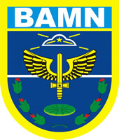 File:Manaus Air Force Base, Brazilian Air Force.jpg