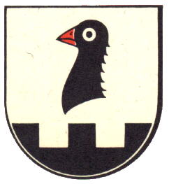 Wappen von Surcasti