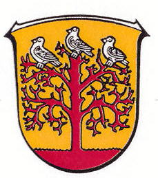 Wappen von Wildsachsen / Arms of Wildsachsen