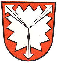 Wappen von Grafschaft Schaumburg
