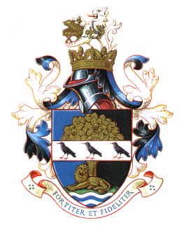 Arms (crest) of Guildford RDC