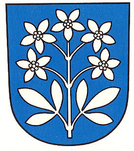 Wappen von Schleinikon/Arms (crest) of Schleinikon