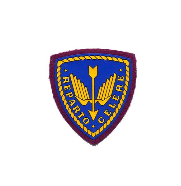 Arms of State Police Rapid Response Department, Italy