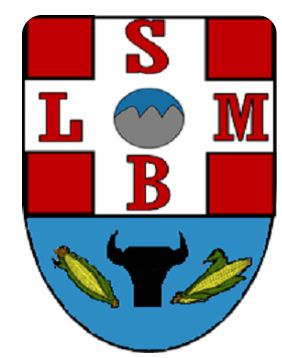 Brasão de São Luís de Montes Belos/Arms (crest) of São Luís de Montes Belos