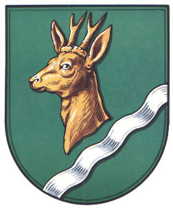 Wappen von Üssinghausen / Arms of Üssinghausen