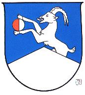 Wappen von Neukirchen am Großvenediger / Arms of Neukirchen am Großvenediger