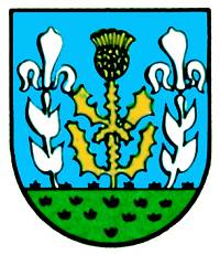 Wappen von Disternich / Arms of Disternich