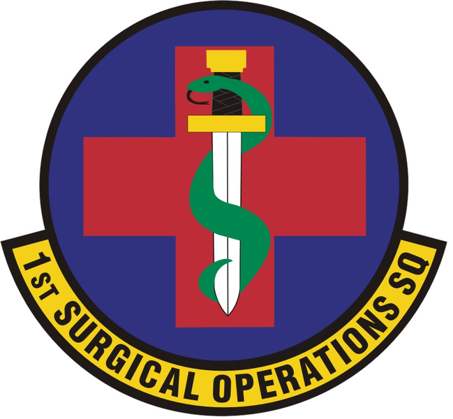 File:1st Surgical Operations Squadron, US Air Force.png