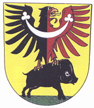 Arms of Žamberk