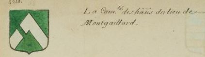 Blason de Montgaillard (Tarn)/Coat of arms (crest) of {{PAGENAME