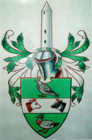 Arms of Enniskillen RDC