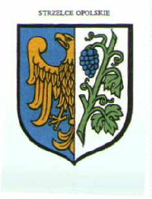 Arms of Strzelce Opolskie