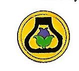 21st Cavalry Division, USA1.jpg