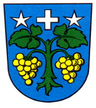 Arms (crest) of Brigerbad