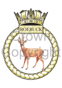 File:HMS Roebuck, Royal Navy.jpg