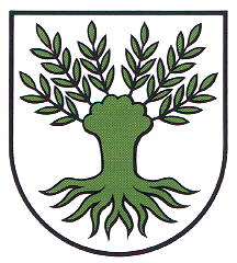 Wappen von Widen/Arms of Widen