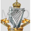 8th (King's Royal Irish) Hussars, British Army.jpg