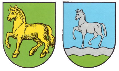 Wappen von Selchenbach / Arms of Selchenbach