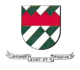 Wapen van De Tynje/Arms (crest) of De Tynje