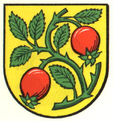 Wappen von Auendorf/Arms of Auendorf