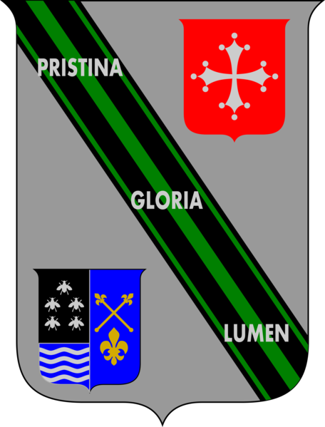 File:29th Infantry Regiment Assietta, Italian Army.png