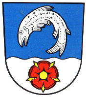 Wappen von Hohenhausen / Arms of Hohenhausen