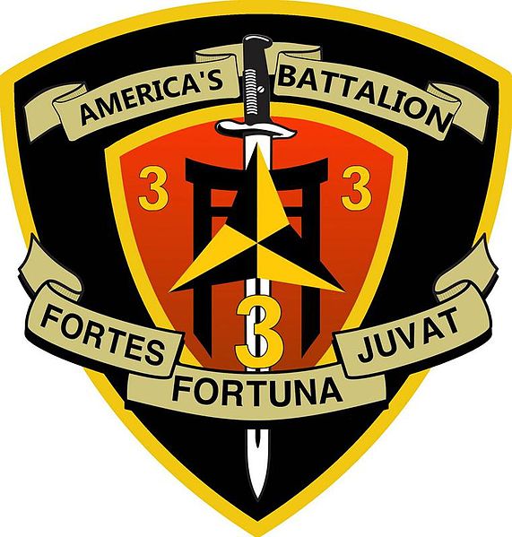 File:3rd Battalion, 3rd Marines, USMC.jpg