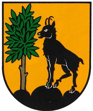 Wappen von Bad Ischl / Arms of Bad Ischl