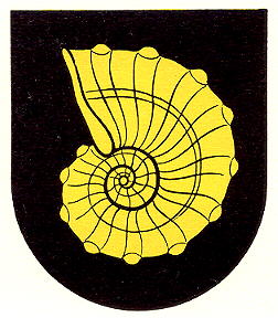 Wappen von Bronschhofen / Arms of Bronschhofen