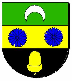 Wapen van Wâlterswâld/Arms (crest) of Wâlterswâld