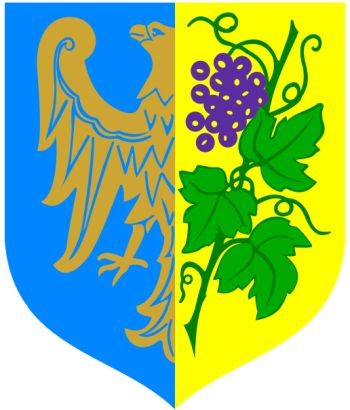 Coat of arms (crest) of Strzelce Opolskie